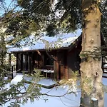 Le Grizzly En Bois Avec Jacuzzi La Bresse