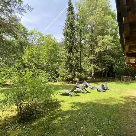 Le Grizzly En Bois Avec Jacuzzi Alpstuga La Bresse