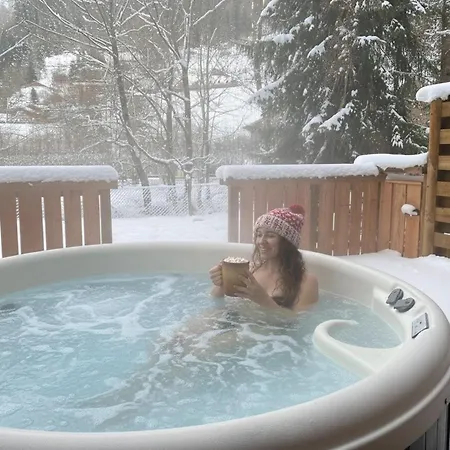 Le Grizzly En Bois Avec Jacuzzi Chalet La Bresse