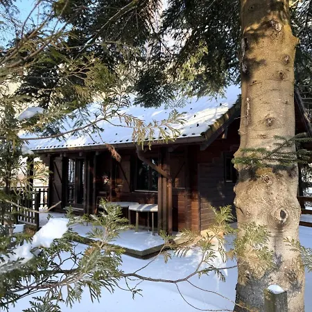 Le Grizzly En Bois Avec Jacuzzi La Bresse