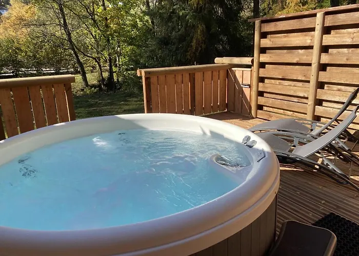 Le Grizzly En Bois Avec Jacuzzi *
