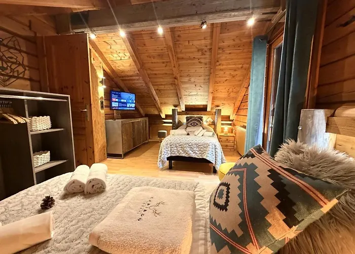 Horská chata Le Grizzly En Bois Avec Jacuzzi La Bresse