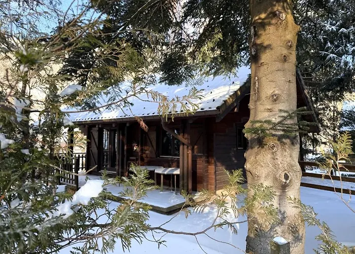 Le Grizzly En Bois Avec Jacuzzi La Bresse